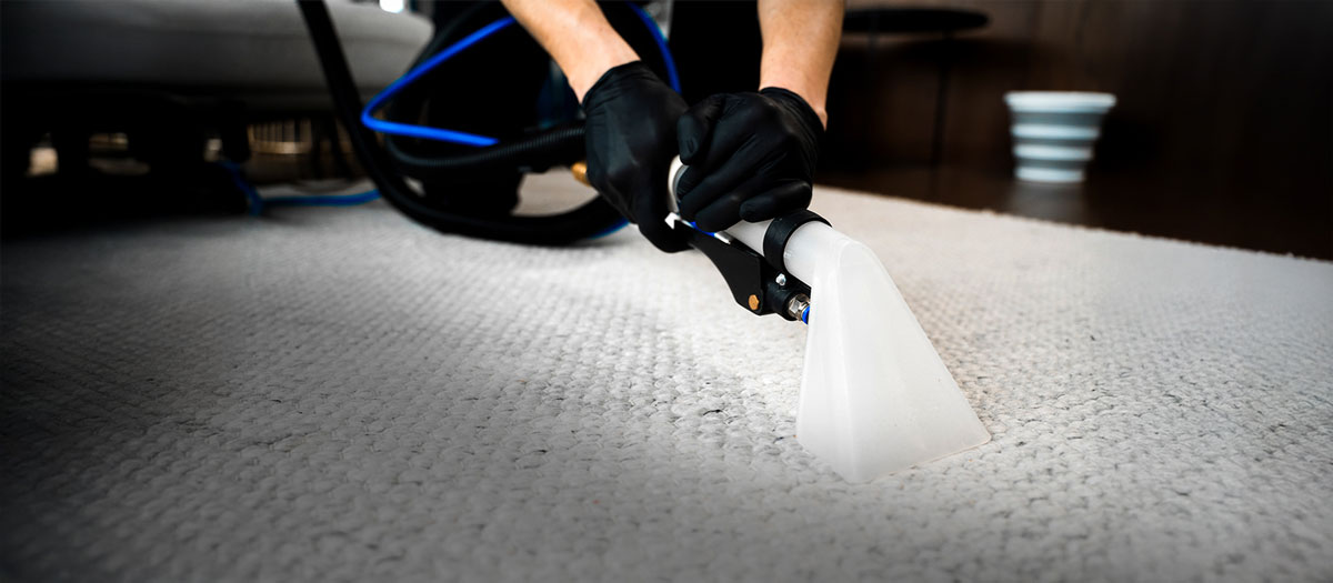 Carpet Cleaning