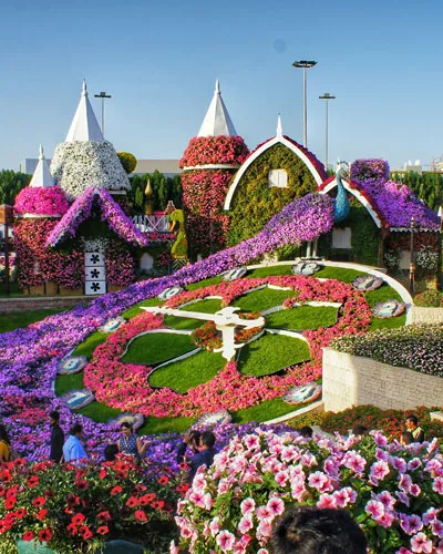 Laundry in The Gardens