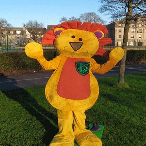 Express Cleaning Services